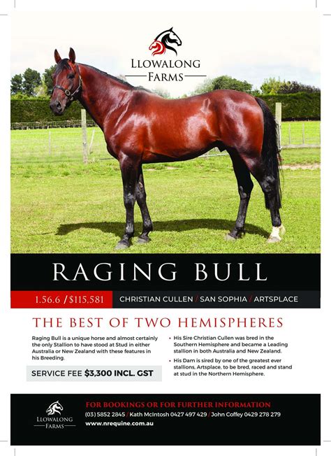 raging bull australia|Iba pa.